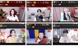 正能量爆料主播视频大全,视频大全中的温暖瞬间