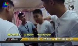 刘师门骗局爆料视频大全,视频大全揭露惊天内幕