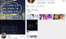 仙家八卦爆料视频播放下载,视频播放下载攻略大揭秘