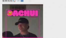 刘大锤正式爆料视频,揭秘视频背后的惊人真相