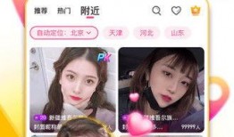 美女被人爆料武器视频,真相揭秘引热议