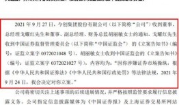 金融爆料叶飞简历介绍视频,简历视频中的财富密码