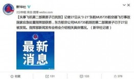 最新黑匣子爆料新闻内容,事故真相再引热议