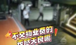 重庆社会新闻热点爆料,聚焦山城最新热点事件