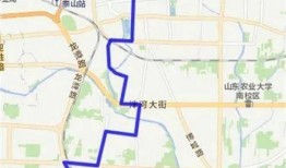 长门青年最新技能爆料,突破极限，引领潮流