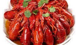 小龙虾套装爆料视频大全,一场味蕾与视觉的盛宴