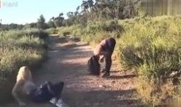 吃瓜翻车合集免费观看下载,免费观看下载，笑料百出，揭秘娱乐圈幕后真相