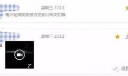 怎么看最新爆料记录视频,视频记录背后的真相揭晓