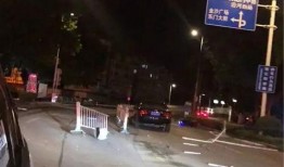 护栏爆料事件视频,揭秘背后惊人真相