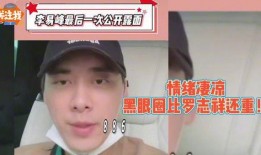 李易峰爆料网红视频,一场关于真实与虚幻的视觉盛宴