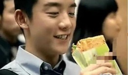 郑恺爆料雷佳音视频,揭秘娱乐圈幕后趣事