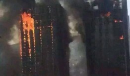 绵阳最新凯厦砍树爆料消息,真相与争议交织