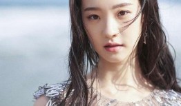 张艺凡娱乐爆料事件视频,揭秘娱乐圈幕后真相