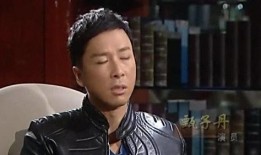 甄子丹爆料武术视频,揭秘动作电影背后的真实功夫世界