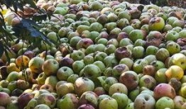 礼泉县爆料新闻,揭秘背后真相，社会关注焦点聚焦