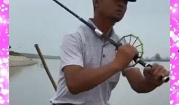 大钓哥 在线观看,在线观看，揭秘钓鱼高手传奇人生