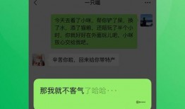 微信爆料新规则最新版下载,最新版下载解读与重要更新一览