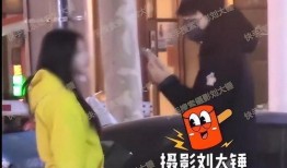 刘大锤正式爆料视频,揭秘视频背后的惊人真相