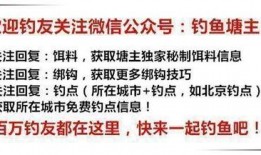 爆料保养秘诀视频讲解,视频大公开，教你轻松拥有水嫩肌肤