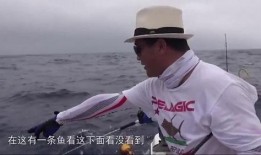 大钓哥 在线观看,在线观看，揭秘钓鱼高手传奇人生