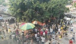 网友爆料莲花山的视频播放