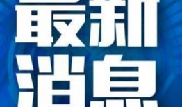 大连半岛晨报新闻爆料,真相揭秘，引发社会关注