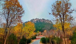 初冬爆料视频,揭秘视频中的绝美风光与神秘故事