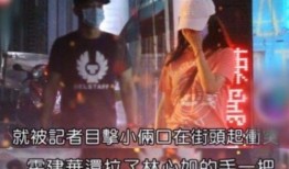 大仙爆料吵架事件视频播放,吵架事件视频引发网友热议，真相究竟如何？