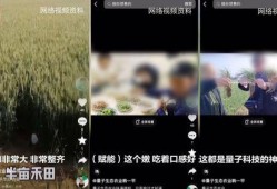 量子微整骗局爆料视频,揭秘背后真相与受害者心声