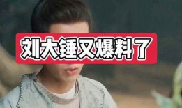 大锤爆料女演员是谁呀视频,揭秘女演员身份之谜