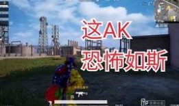 和平精英最新爆料13,革新战场，体验极致竞技盛宴