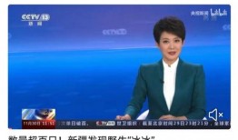 央视爆料王冰冰视频全集,王冰冰视频全集事件深度解析