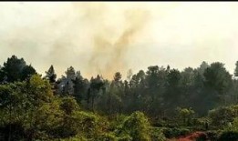 网友爆料莲花山的视频播放