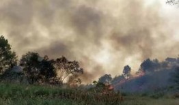 网友爆料莲花山的视频播放