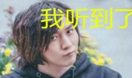 娱乐吃瓜酱现眼包,揭秘明星现眼包背后的故事