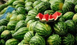 网红吃瓜网站免费入口,免费入口带你畅游娱乐圈风云