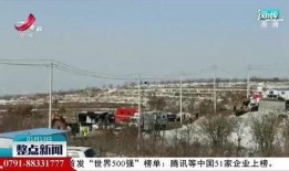 南京栖霞区爆料事件最新,揭秘背后真相与影响