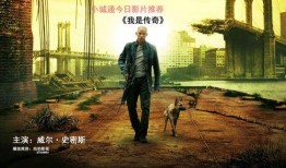 在线观看我是传奇,我是传奇的末日求生之旅