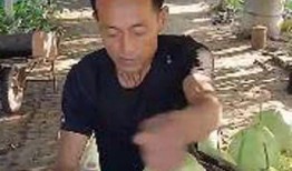 吃瓜网红东北大哥是谁啊,吃瓜网红东北大哥的真实身份