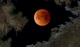 血色月亮在线观看,神秘月夜惊悚悬疑大揭秘