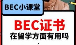 钛9吃瓜爆料最新视频,最新吃瓜视频深度解析