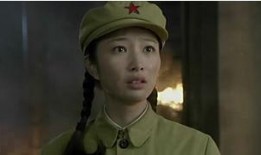 黑狐之风影电视剧全集在线观看,揭秘神秘特工的传奇征程