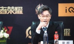 张凯爆料隐情视频,隐情视频背后的惊人真相