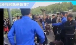 城管爆料视频完整版最新,城市治理背后的真相与挑战