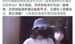 刘大锤爆料今日恋情视频,明星恋情视频曝光，甜蜜瞬间引网友热议