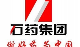 石药集团爆料最新消息,重大研发突破，创新药物引领行业新篇章