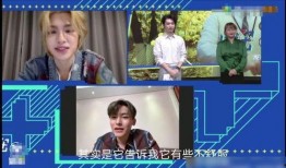 爆料侯明昊害羞视频大全,甜蜜笑容与羞涩瞬间交织