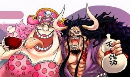 国风路飞全部爆料视频,揭秘全部爆料视频背后的精彩故事