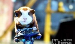 豚鼠电影在线观看,揭秘动物世界的生存法则