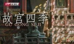 故宫最新爆料视频大全下载,最新爆料视频大全深度解析